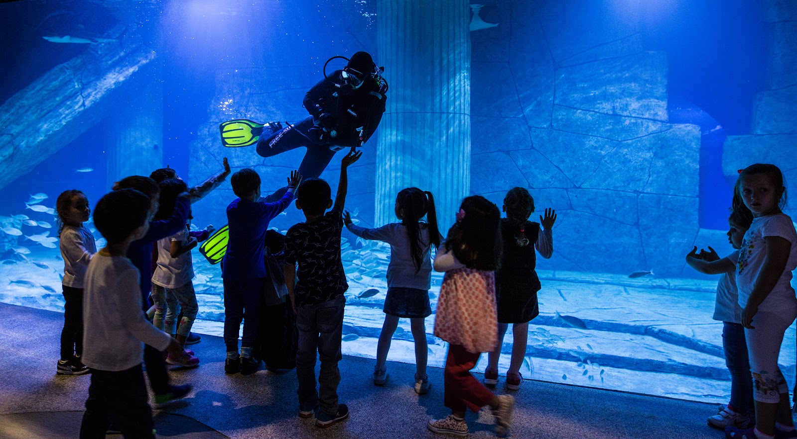 Funtastic Aquariums İzmir photo 5