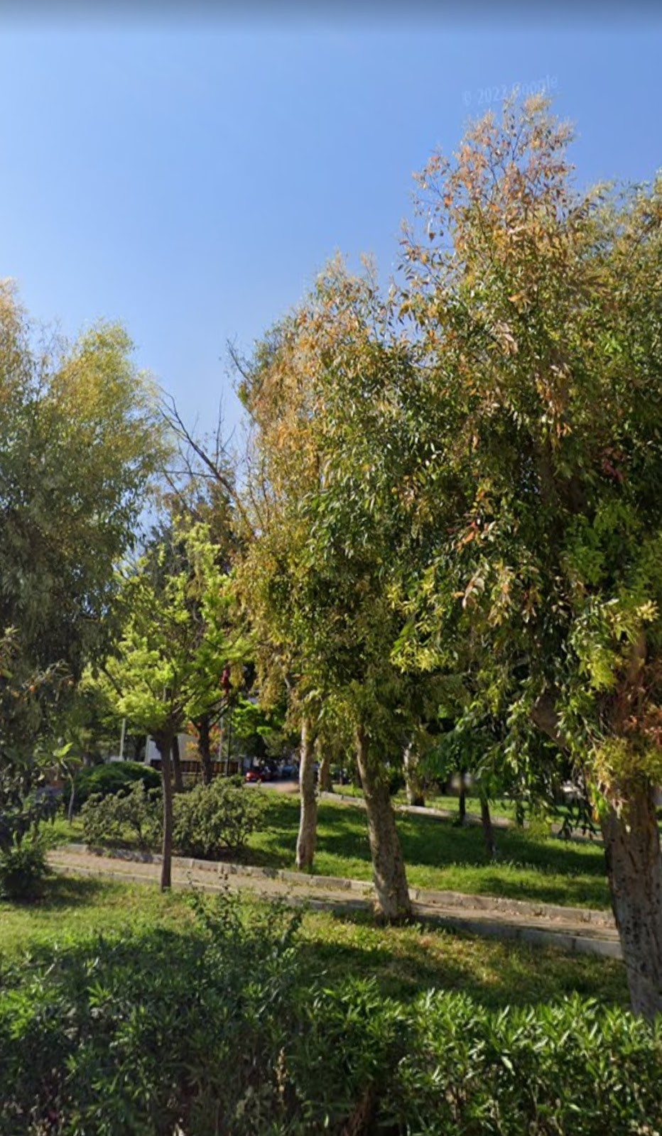 Küçükpark photo 7