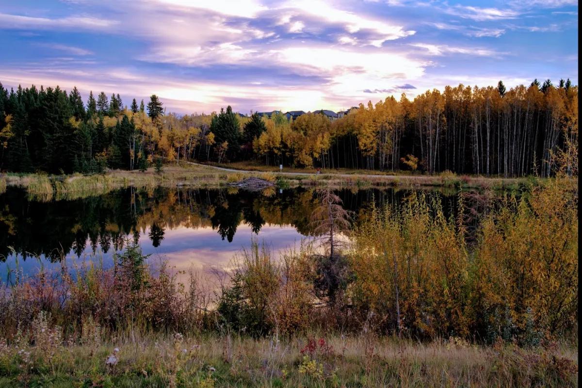 Marshall Springs - Fish Creek Provincial Park photo 1
