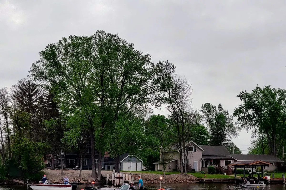 Wolf River Crossing Park photo 1