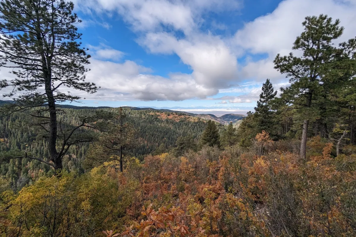 Lincoln National Forest photo 1