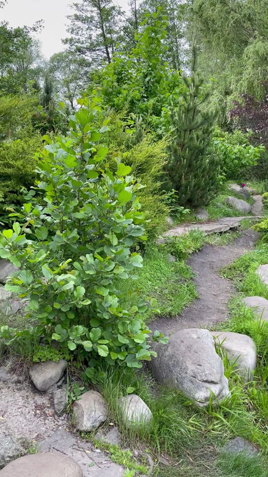 Feofaniya Park photo 5