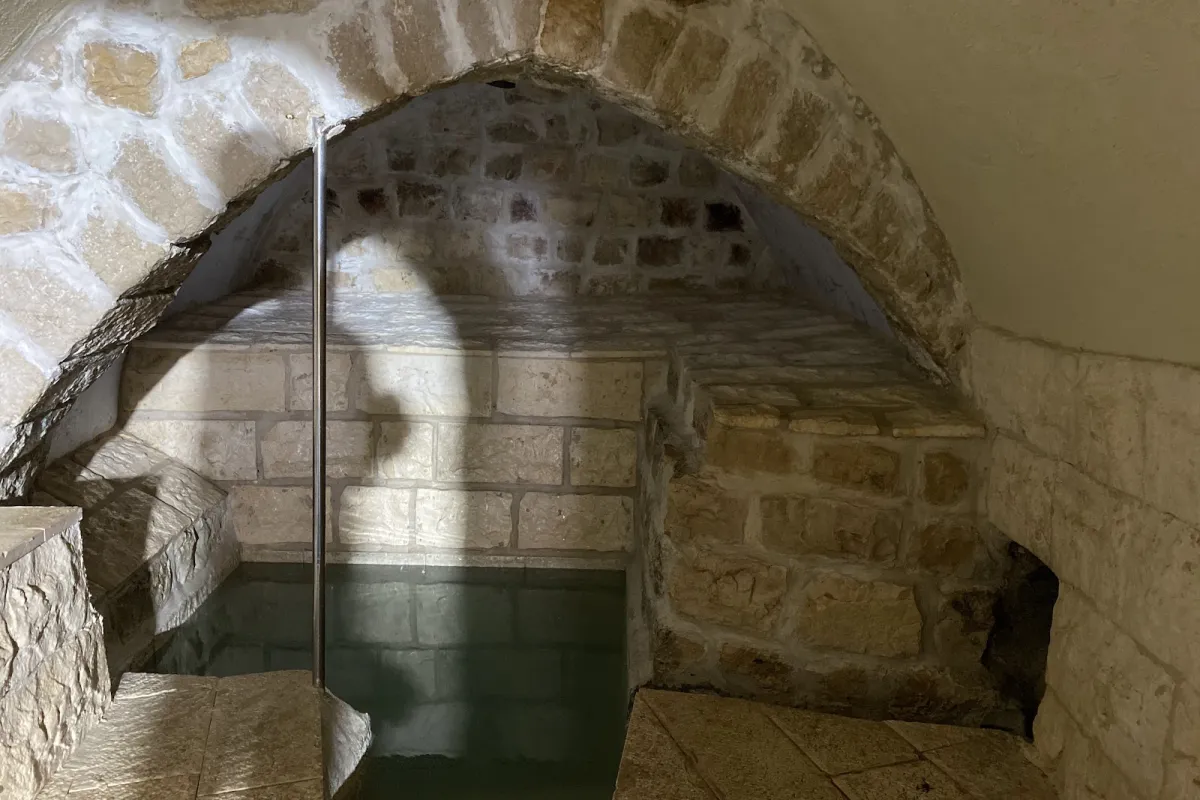 Ari Mikvah photo 1