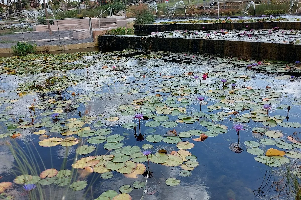HaSharon Park photo 1