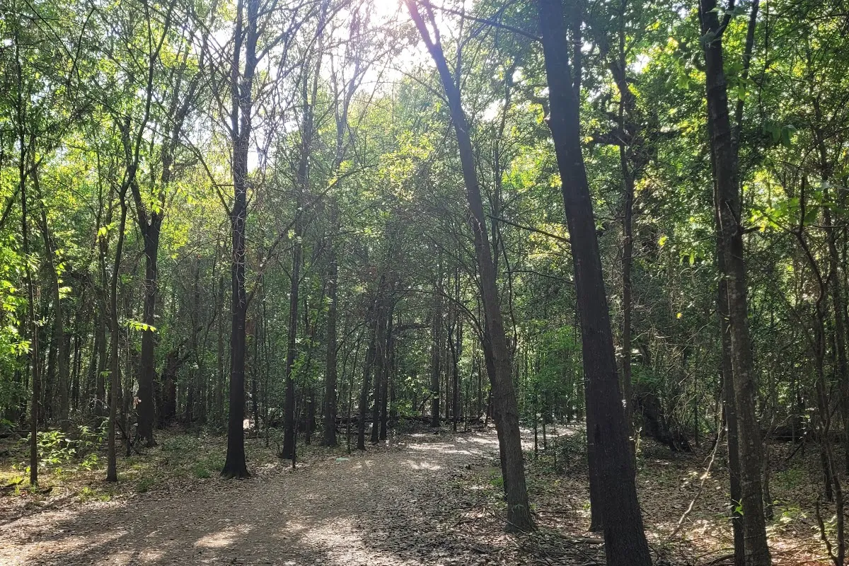 Lorraine Cherry Nature Preserve photo 1