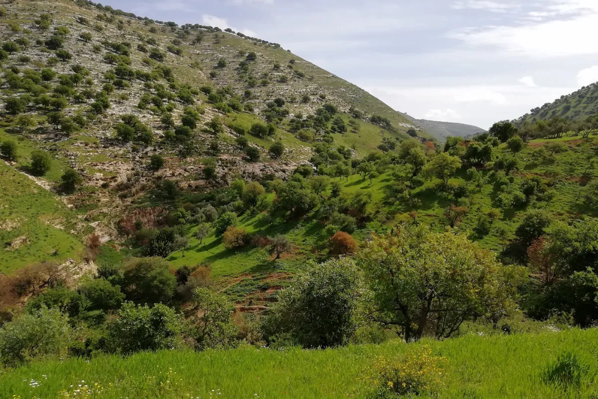 Yarmouk Nature Reserve photo 1