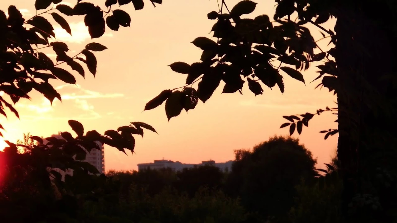 Lošyсki Park photo 5
