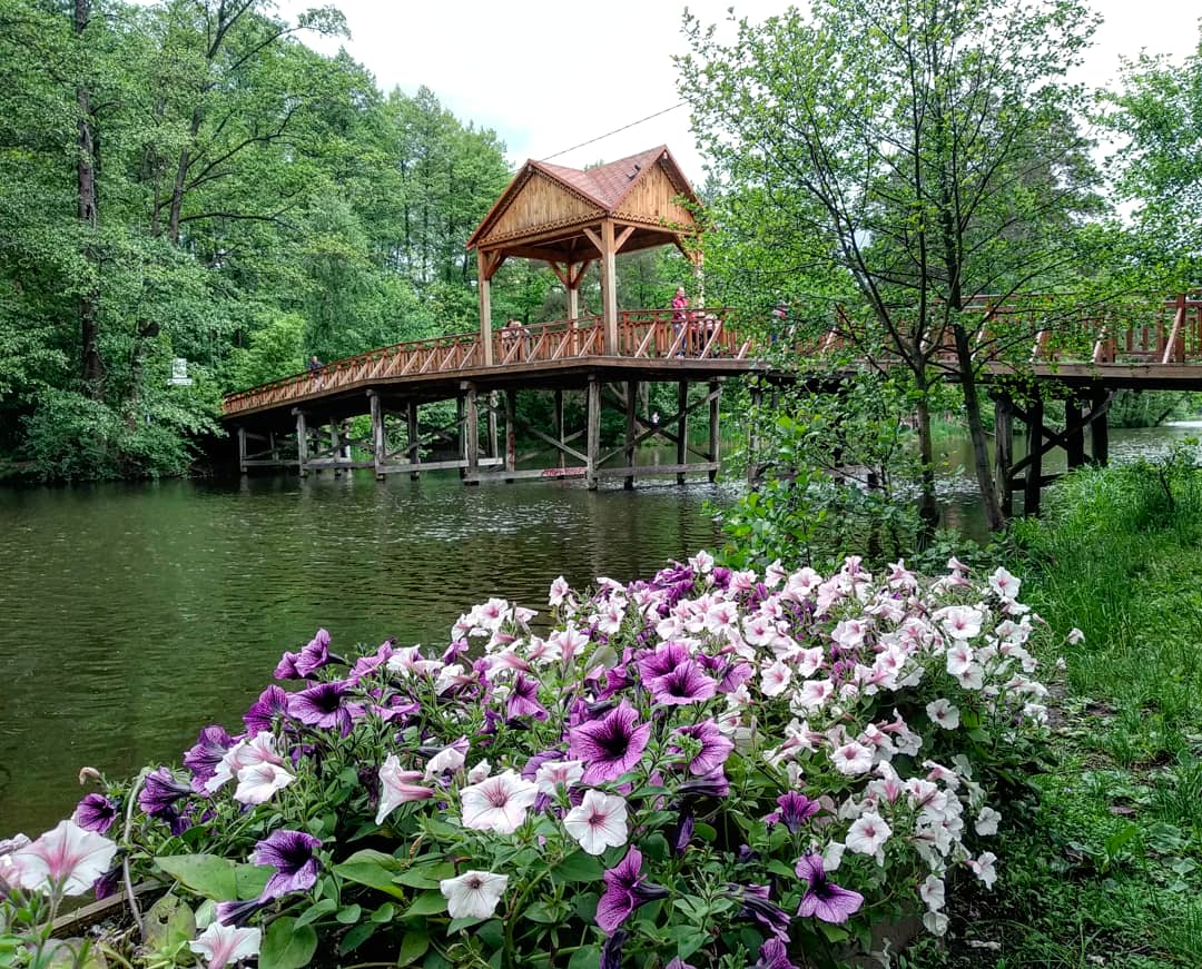 Парк “Пуща Водиця” photo 2