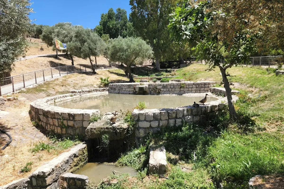 Emek HaTkhelet Park photo 1