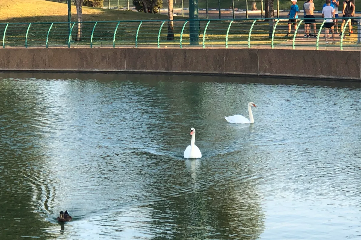 Ra'anana Park photo 1