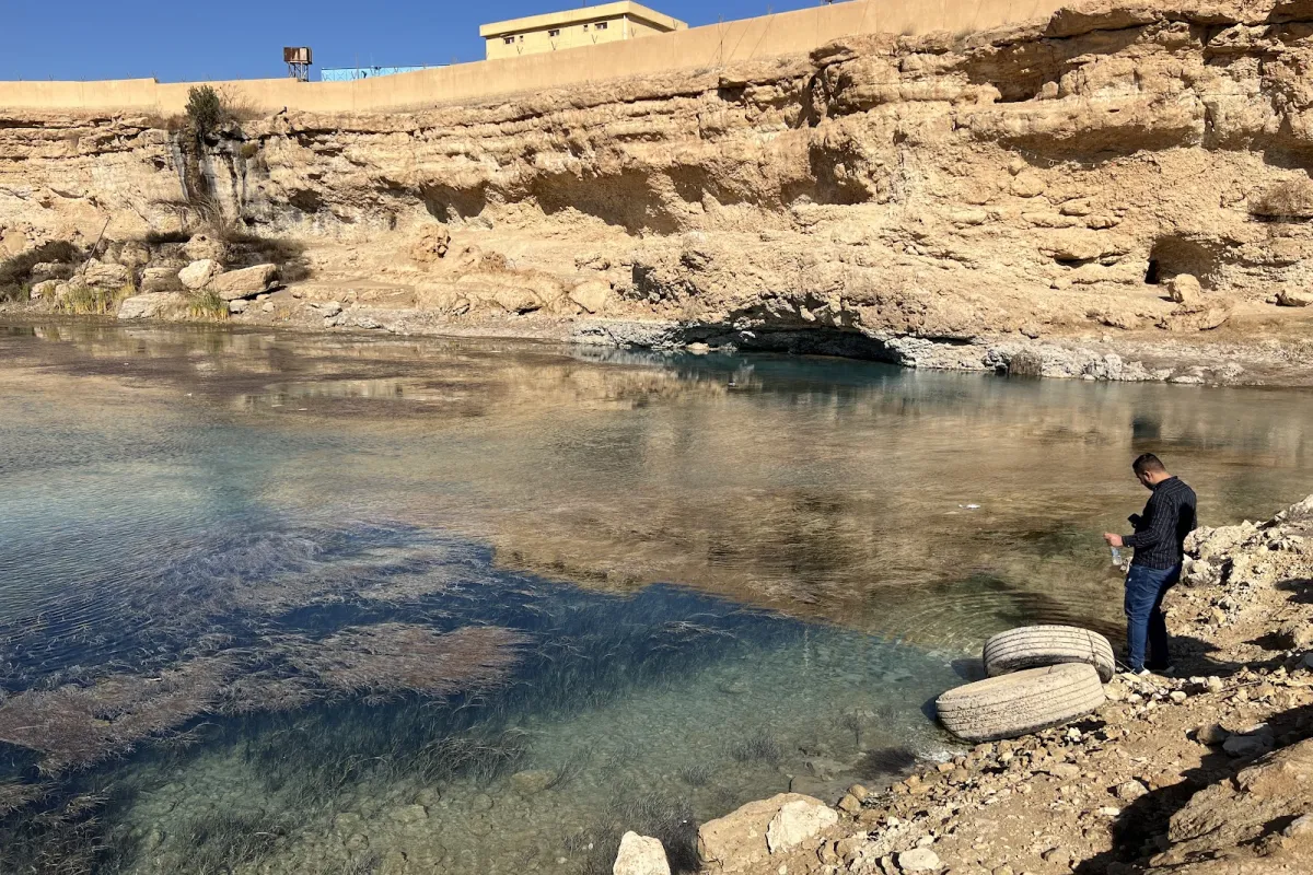 منتزه عيون حجلان photo 1