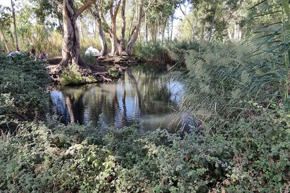 עין ראובן (עין צנובר) photo 1