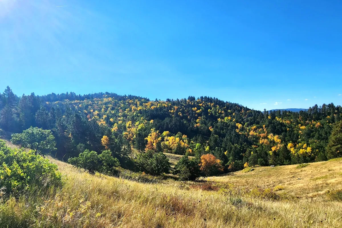 Lookout Mountain Trail photo 1