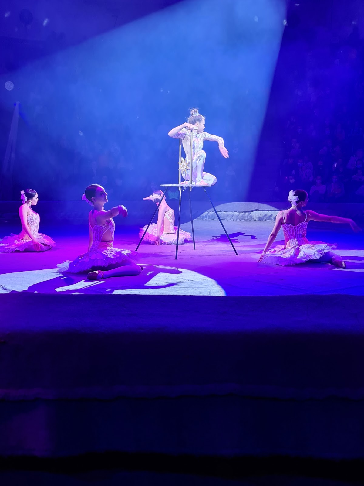 National Circus of Ukraine photo 10
