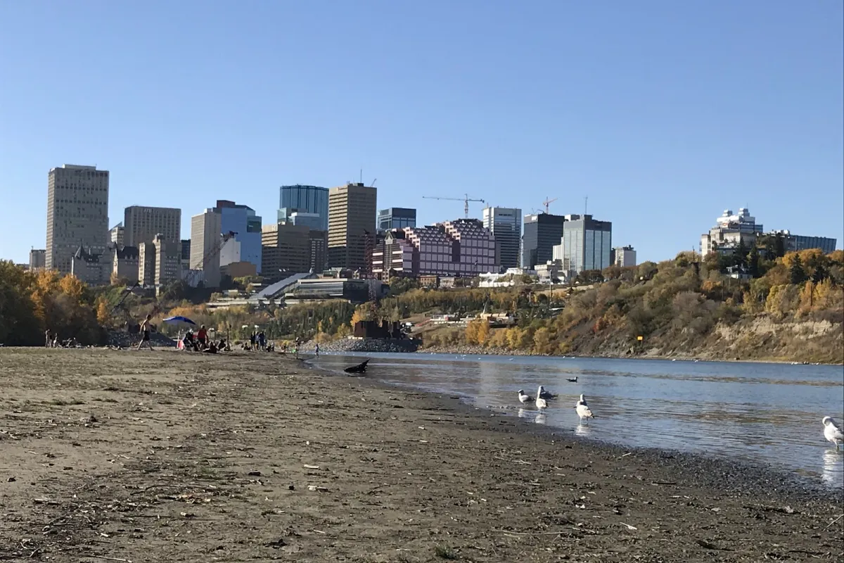 Accidental Beach photo 1