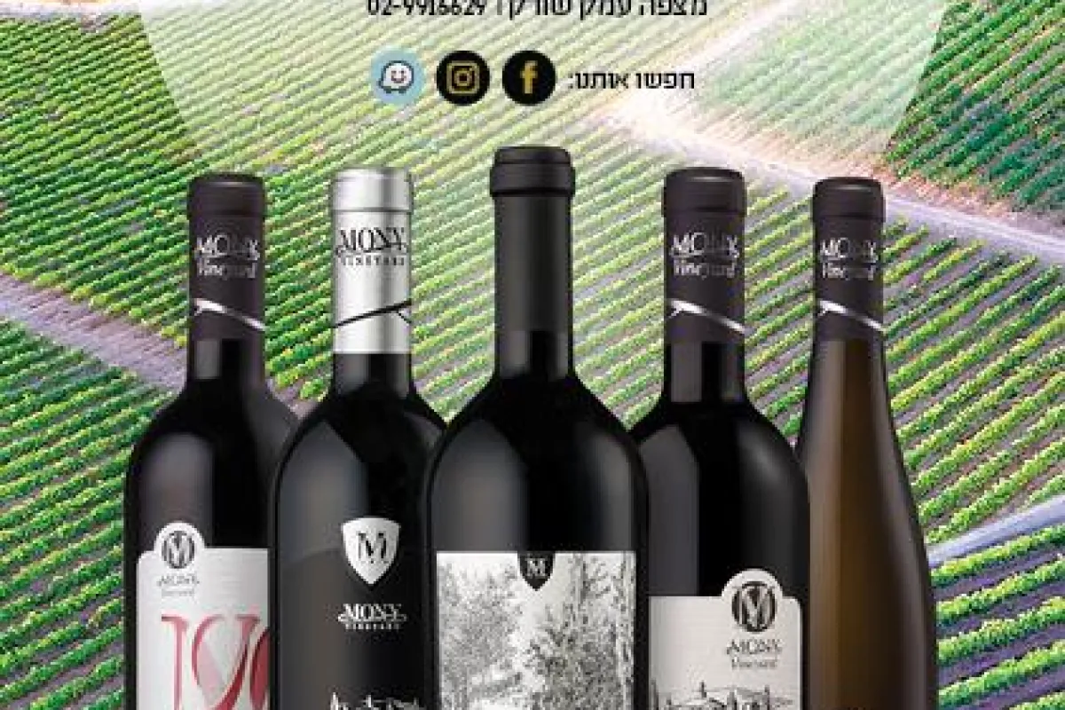 Mony Estate Winery photo 1