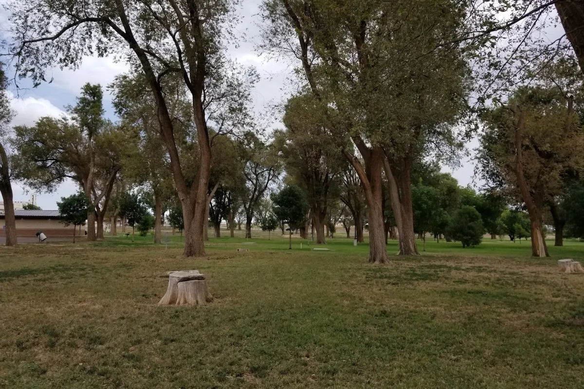 Forrest Park photo 1