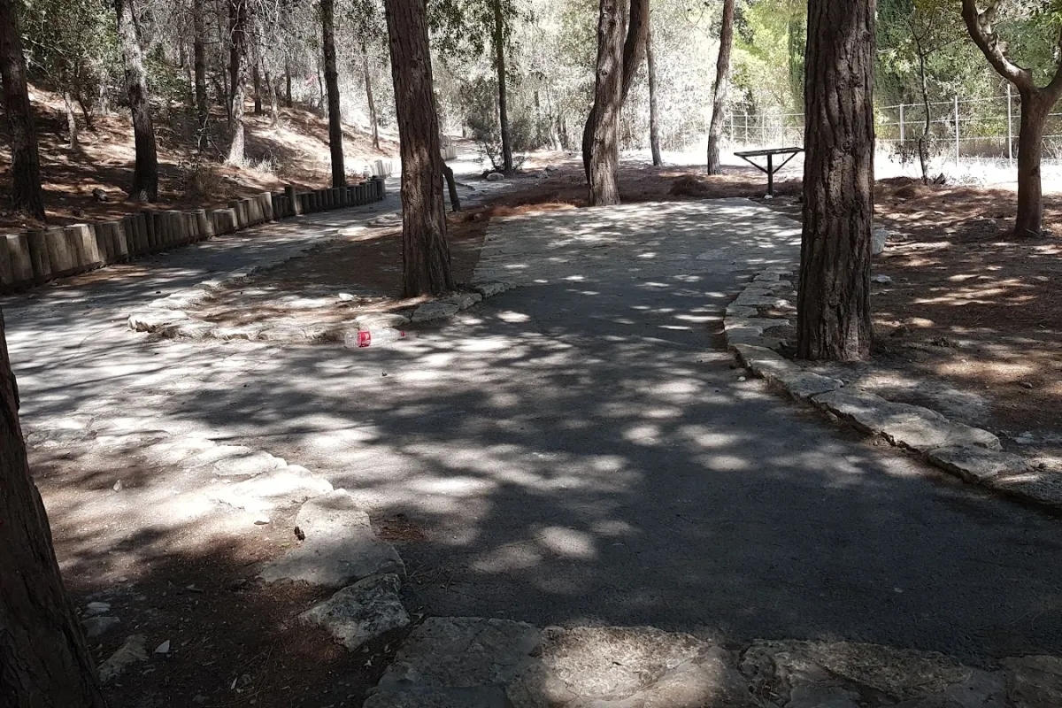 Menashe Forest Festival photo 1