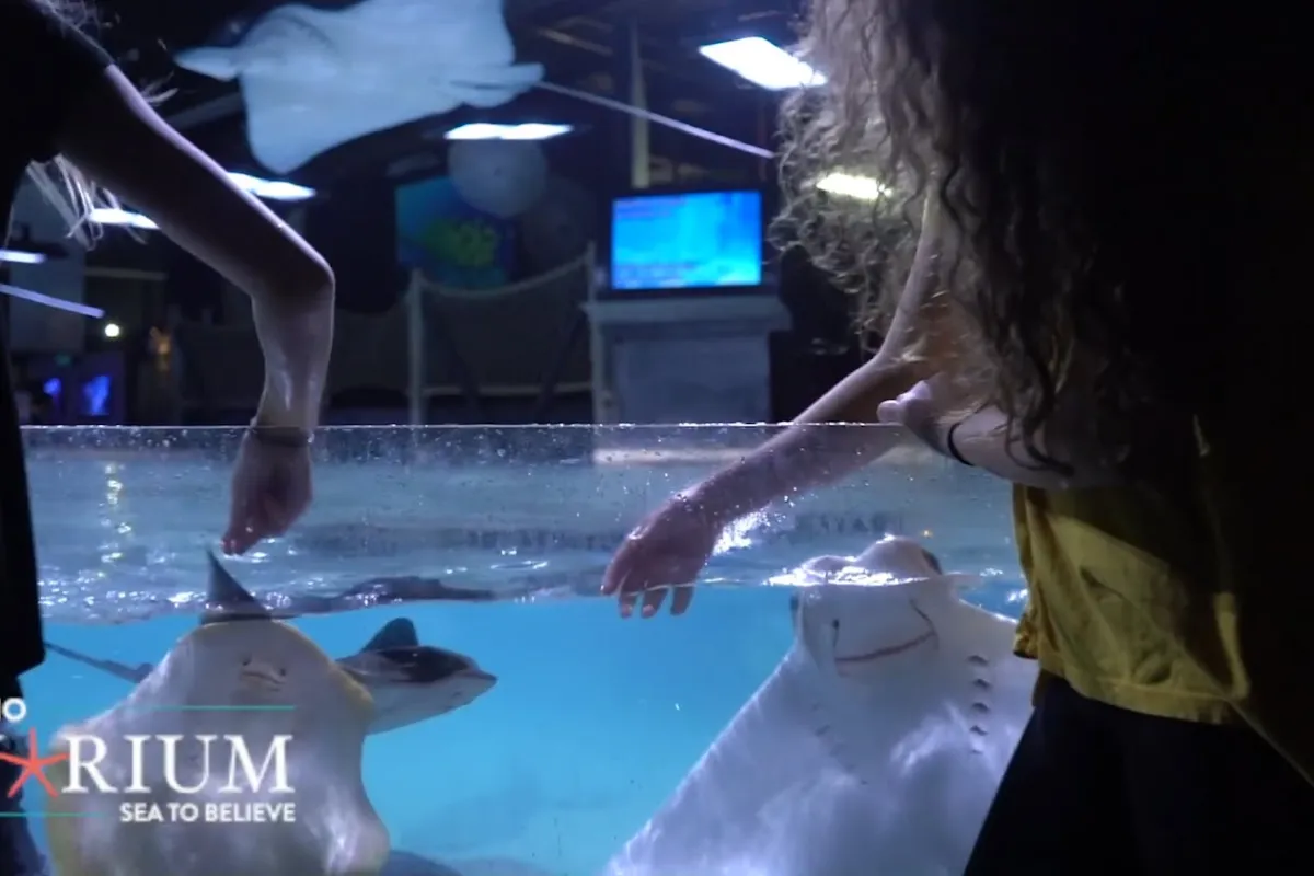 San Antonio Aquarium photo 1