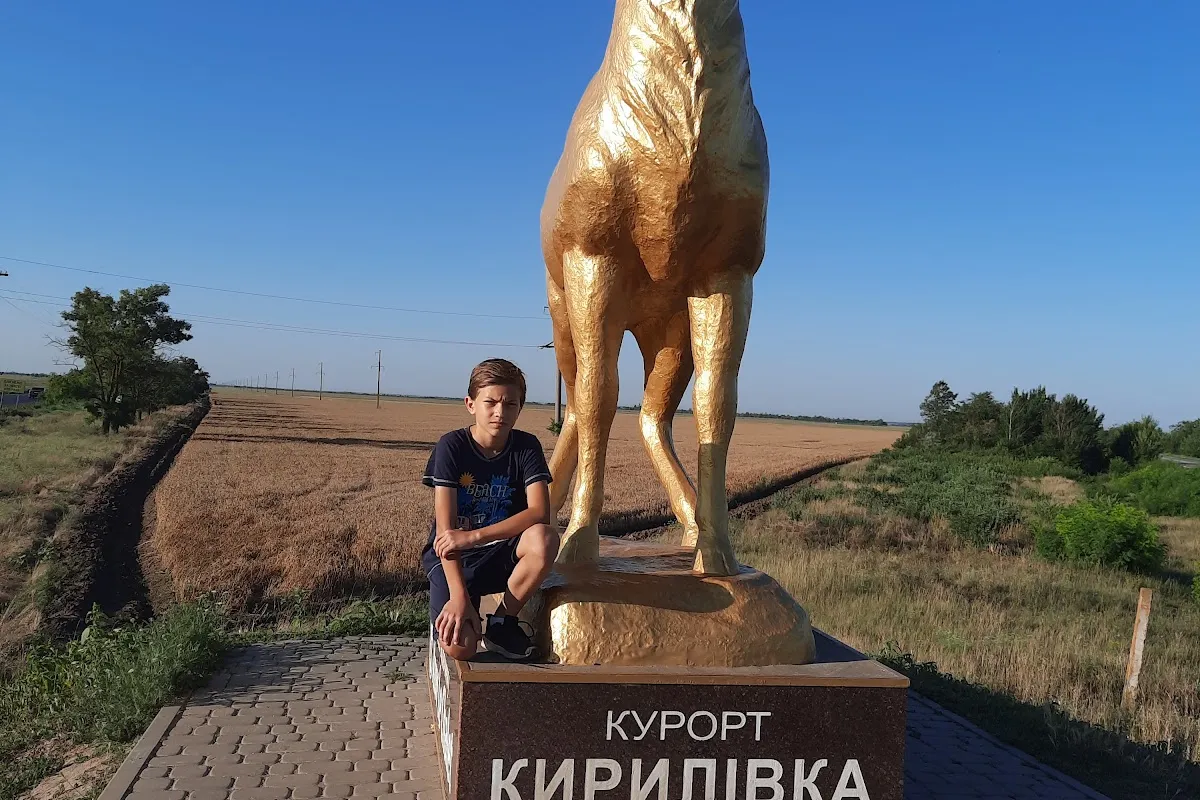 Олень photo 1