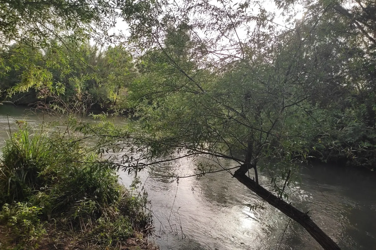 טיילת מפגש הנחלים photo 1