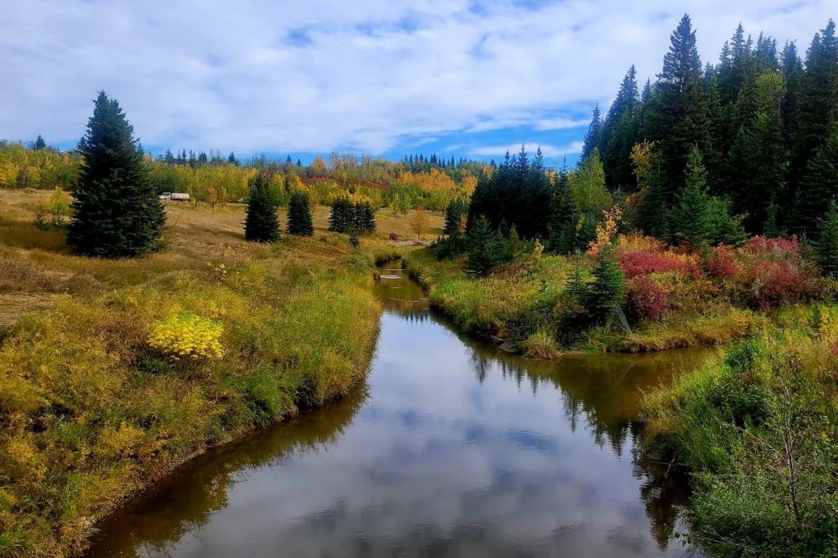 Larch Sanctuary photo 1