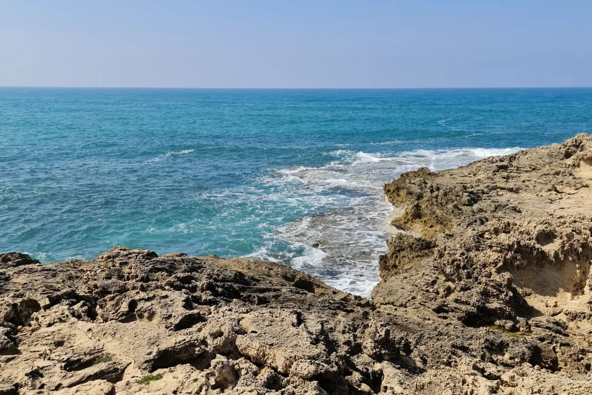 Habonim Beach Nature Reserve photo 1