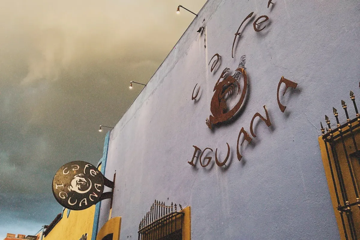 Café Iguana photo 1