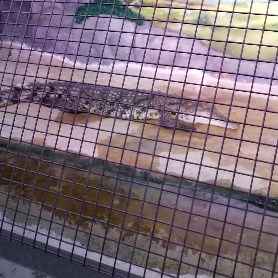 The Oceanarium «Sea Fairy Tale» photo 11