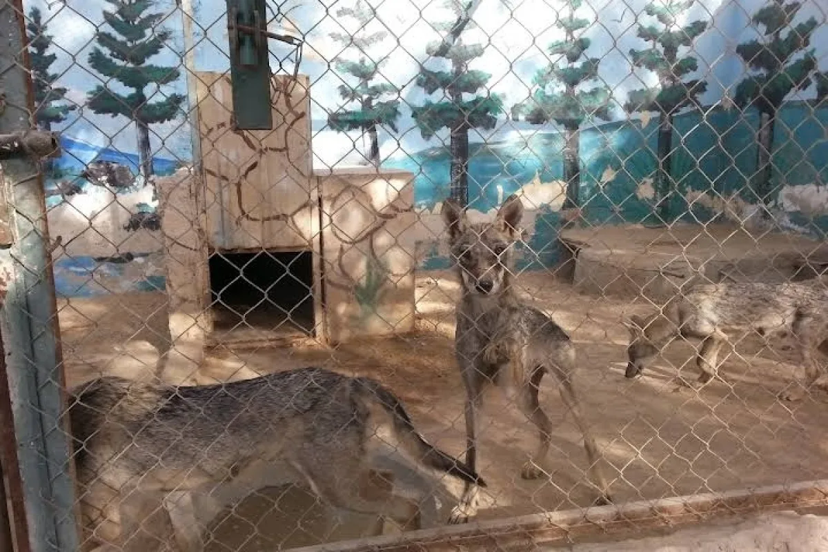 The Global Animal Village photo 1