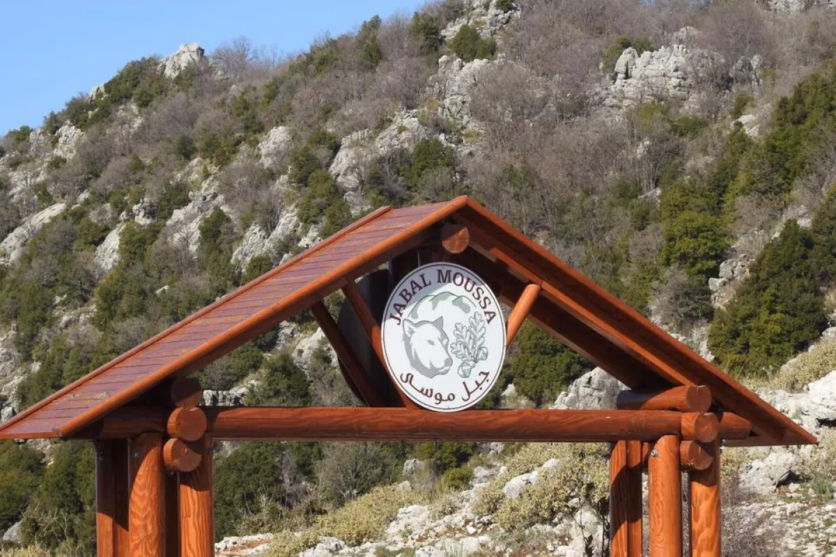 Jabal Moussa Biosphere Reserve photo 1