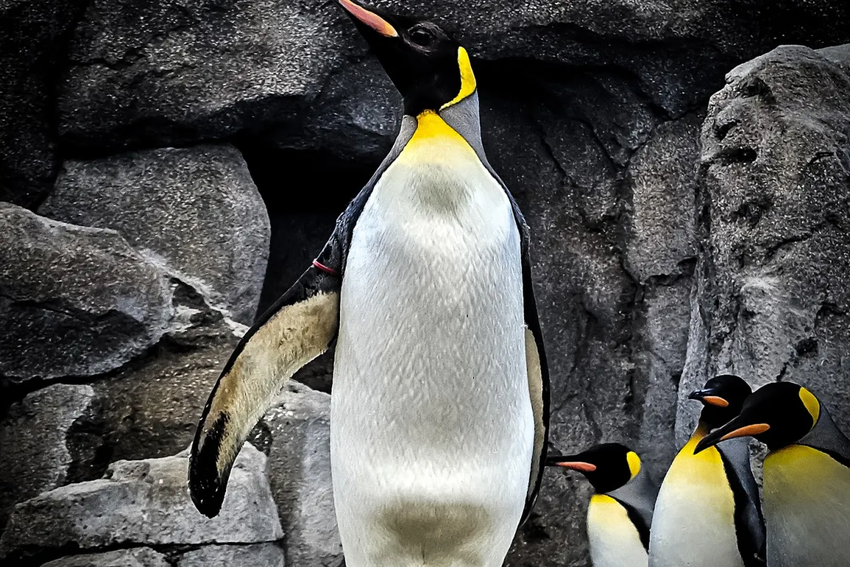 Calgary Zoo photo 1