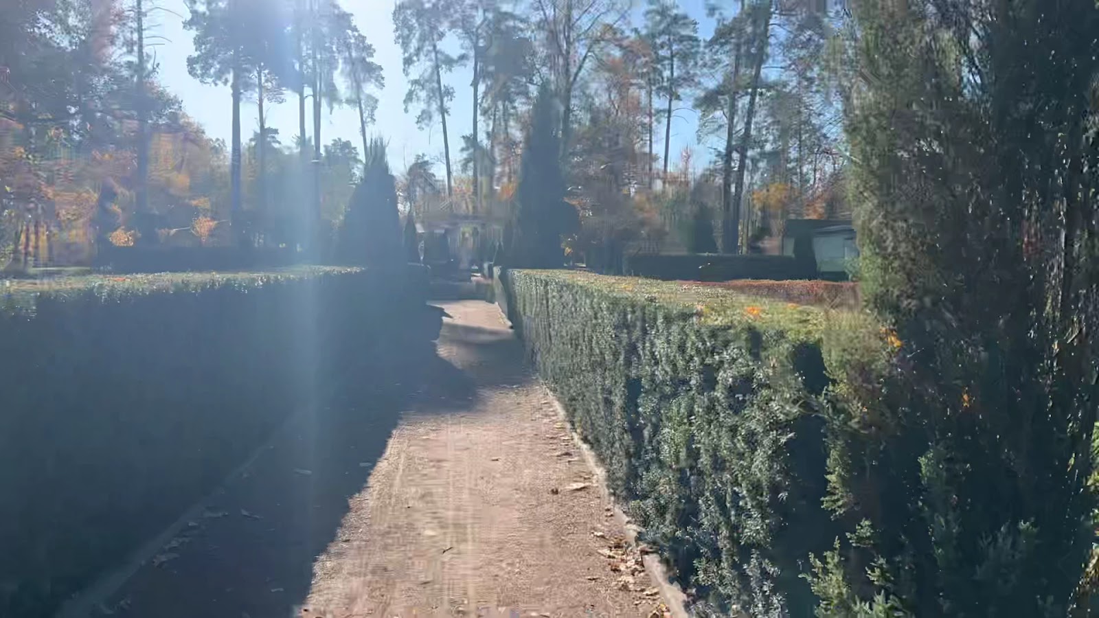 Bucha Municipal Park photo 5
