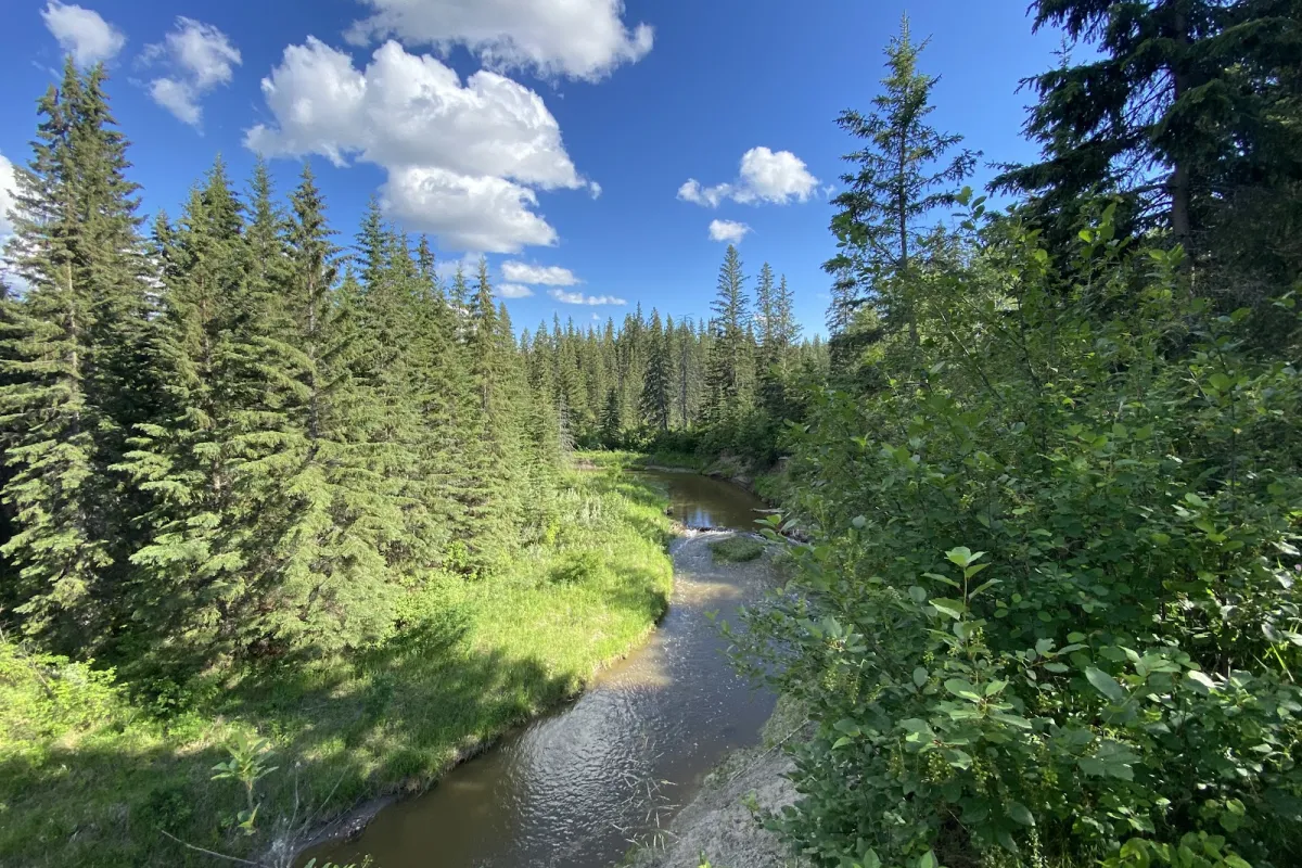 Mactaggart Sanctuary photo 1