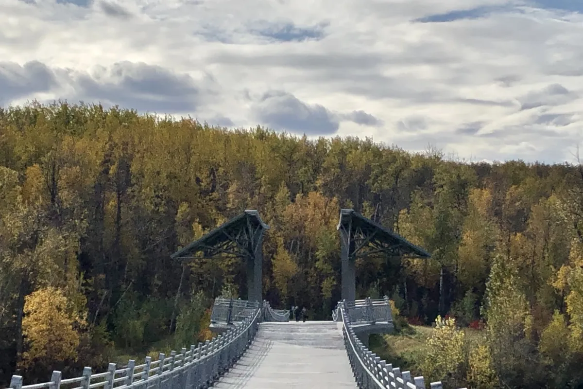 Terwillegar Park Footbridge photo 1