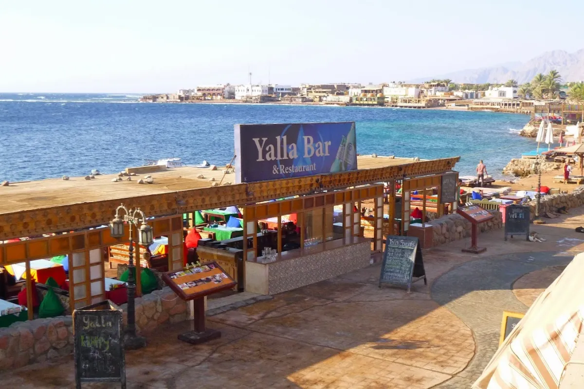 Yalla Bar Dahab photo 1
