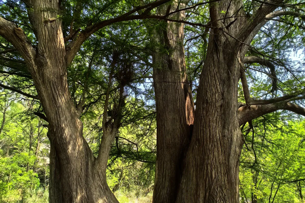 rio la silla Park photo 1