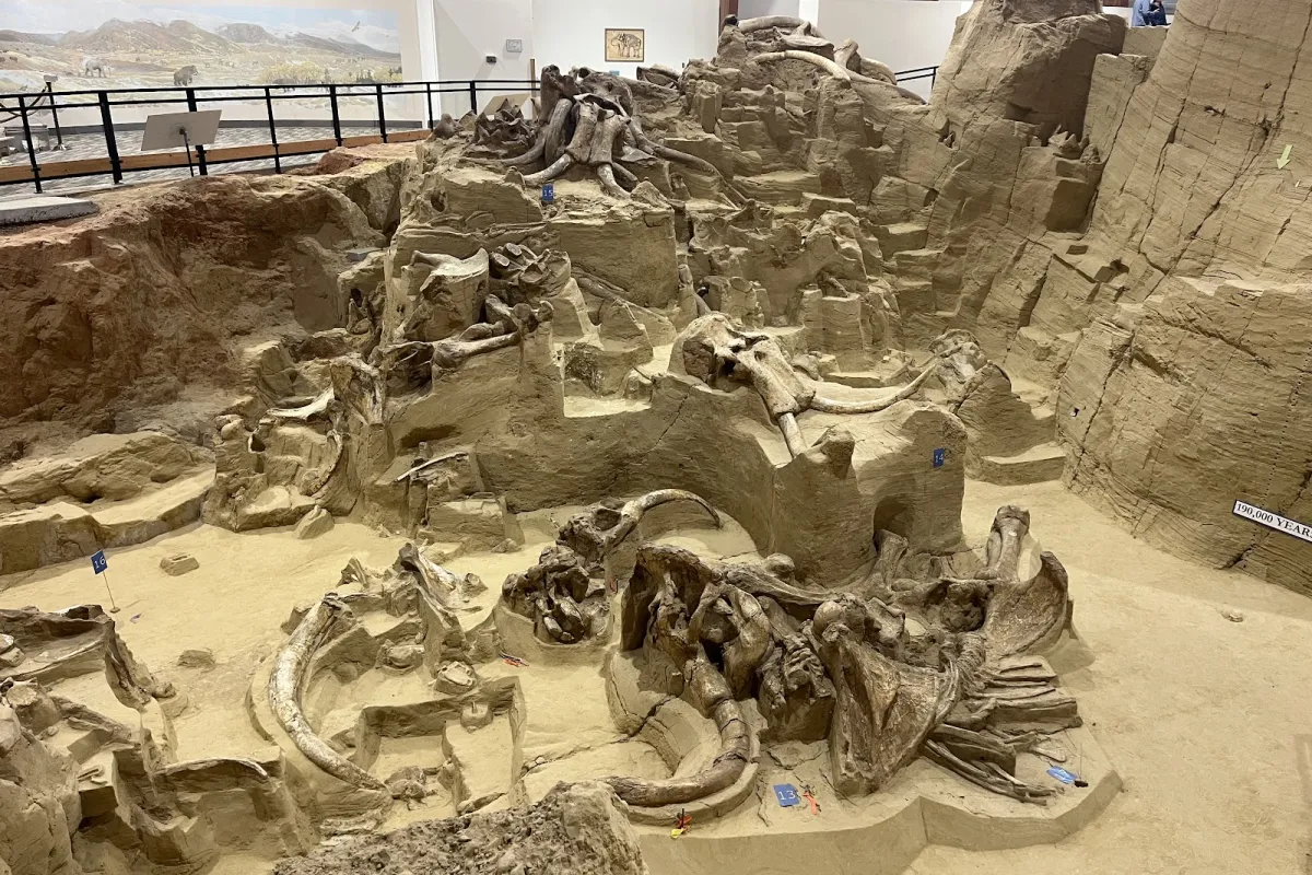 The Mammoth Site photo 1
