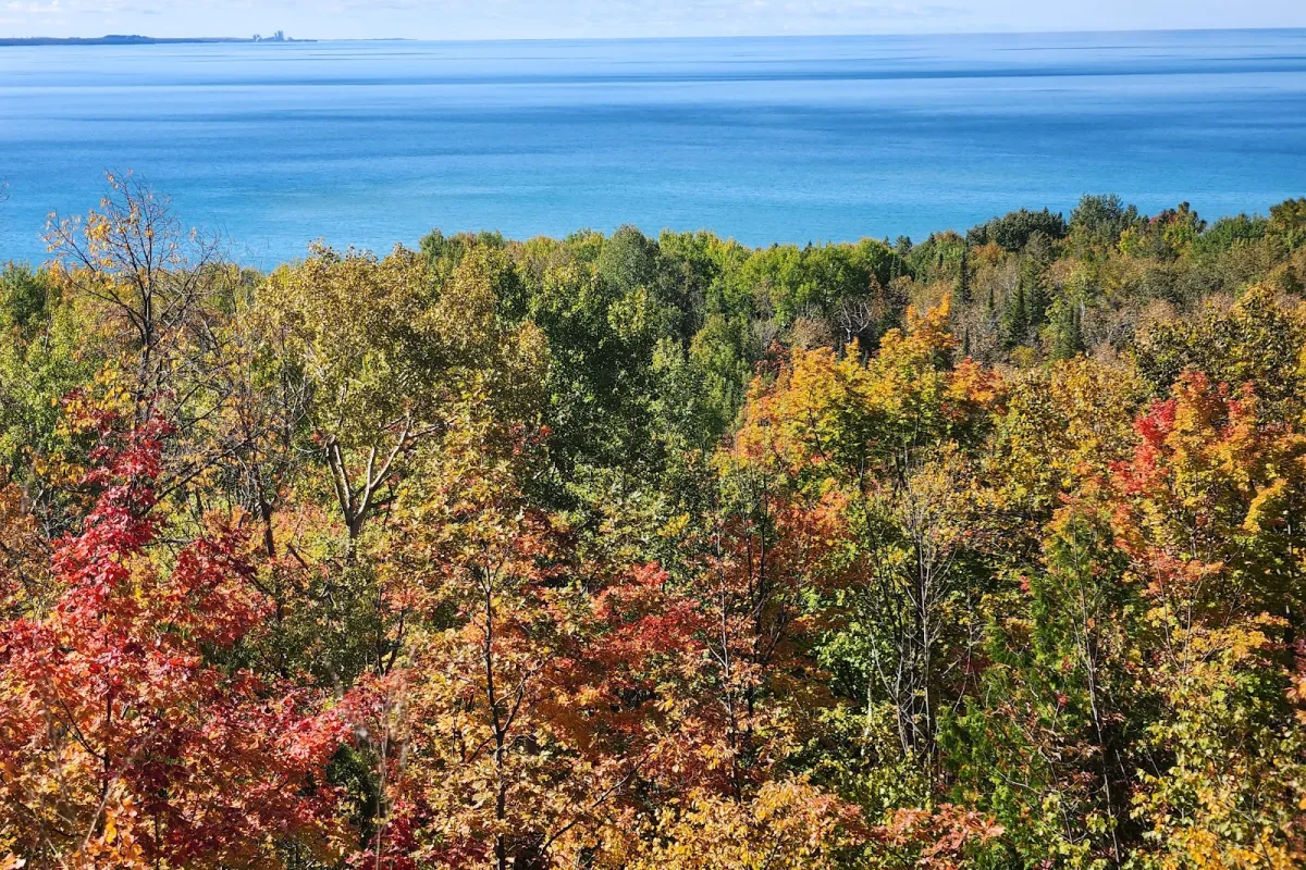 Scenic Outlook - Tunnel of Trees photo 1
