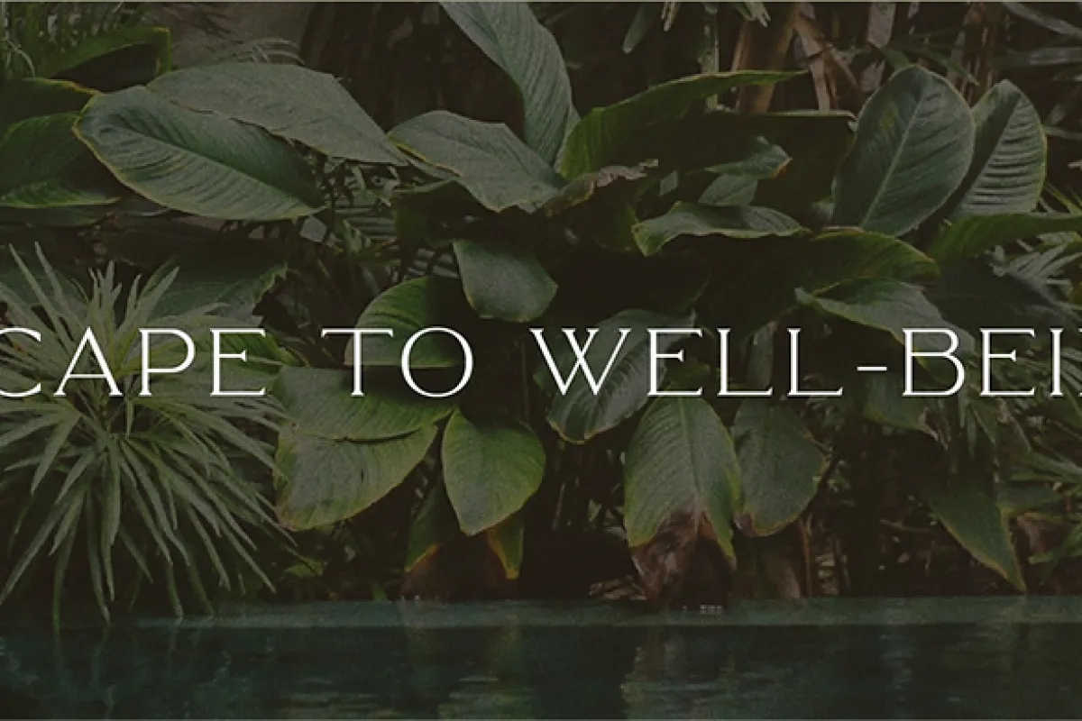 Tulum Wellness Spa photo 1