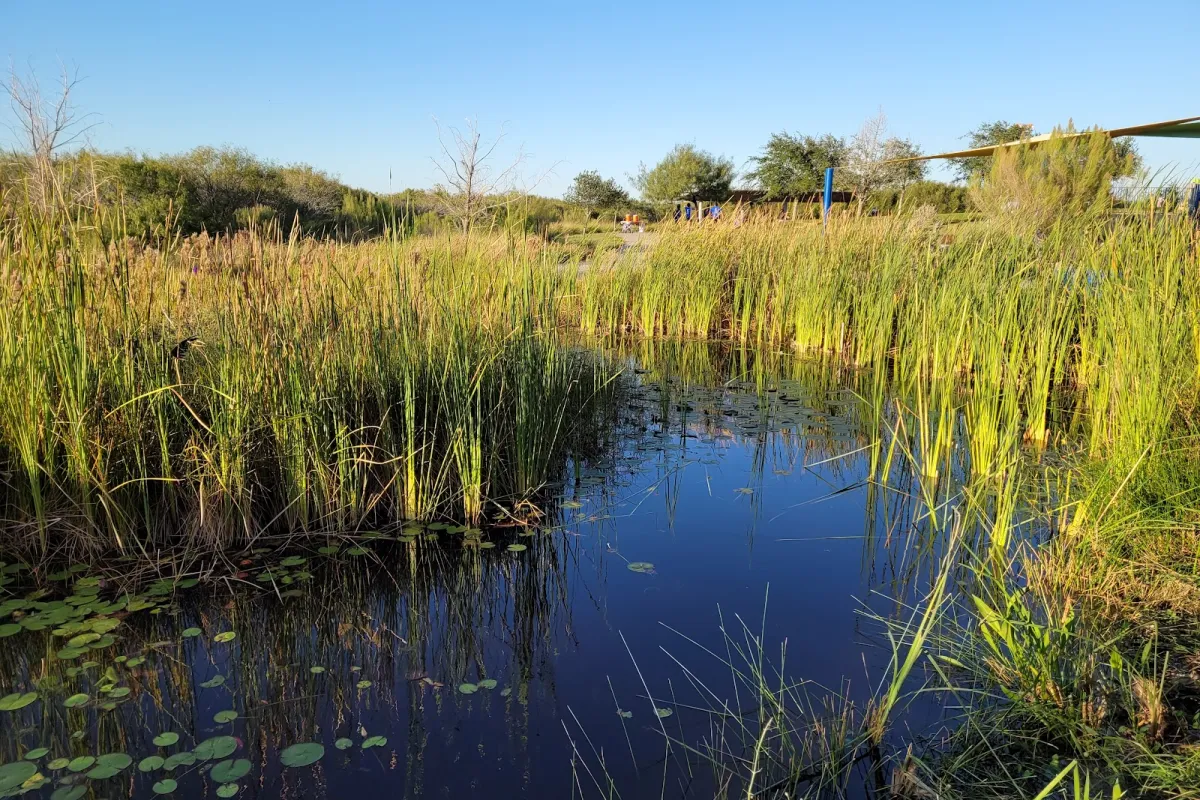 Oso Bay Wetlands Preserve and Learning Center Corpus Christi, TX photo 1