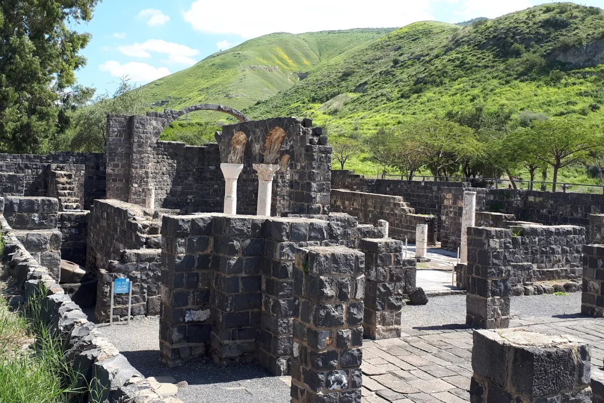 Kursi National Park photo 1