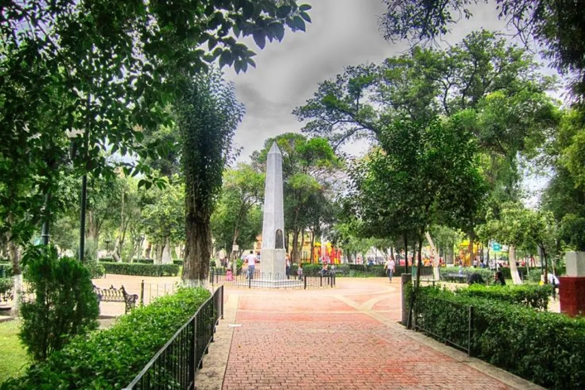Alameda Zaragoza photo 1