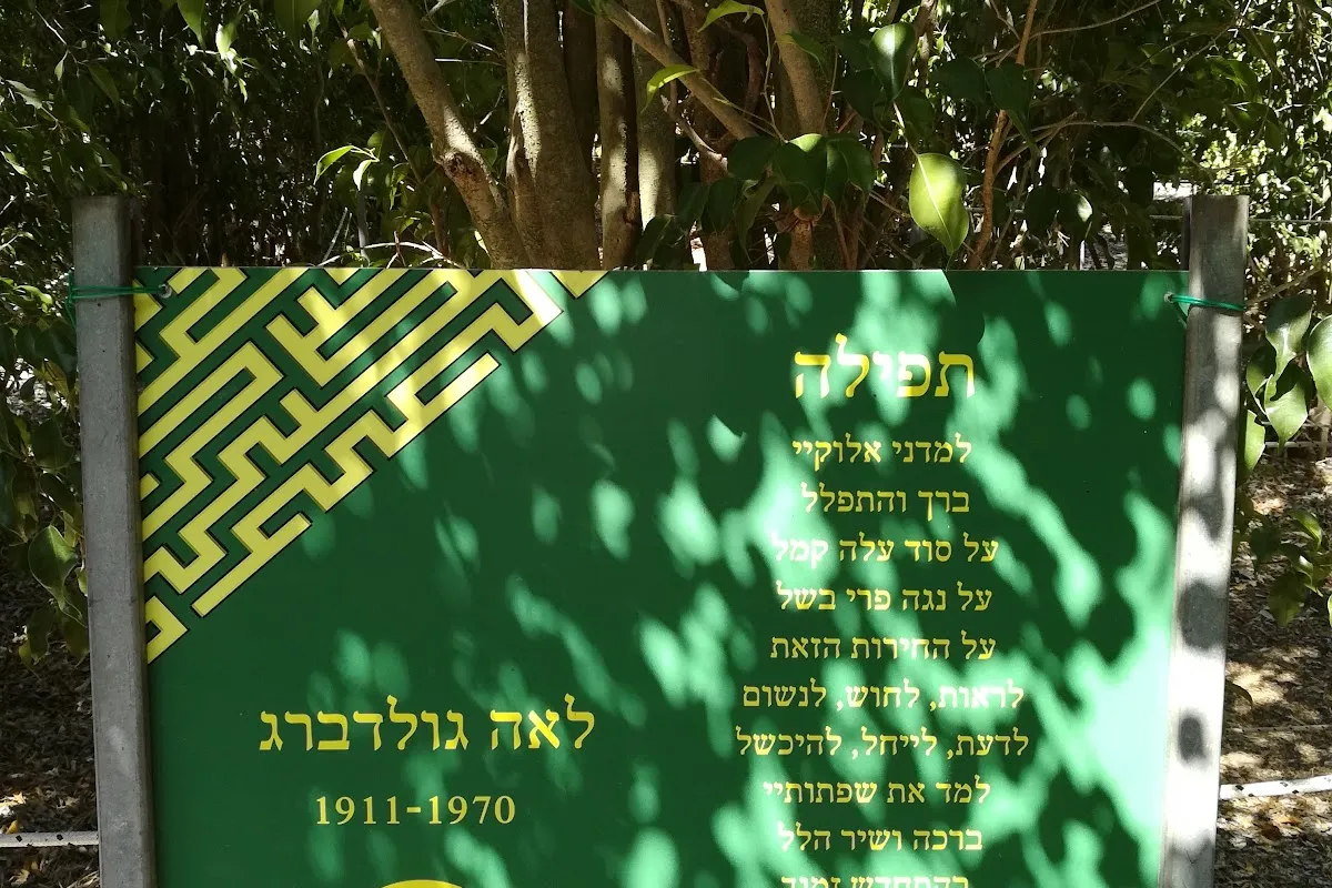 מבוך בעמק photo 1