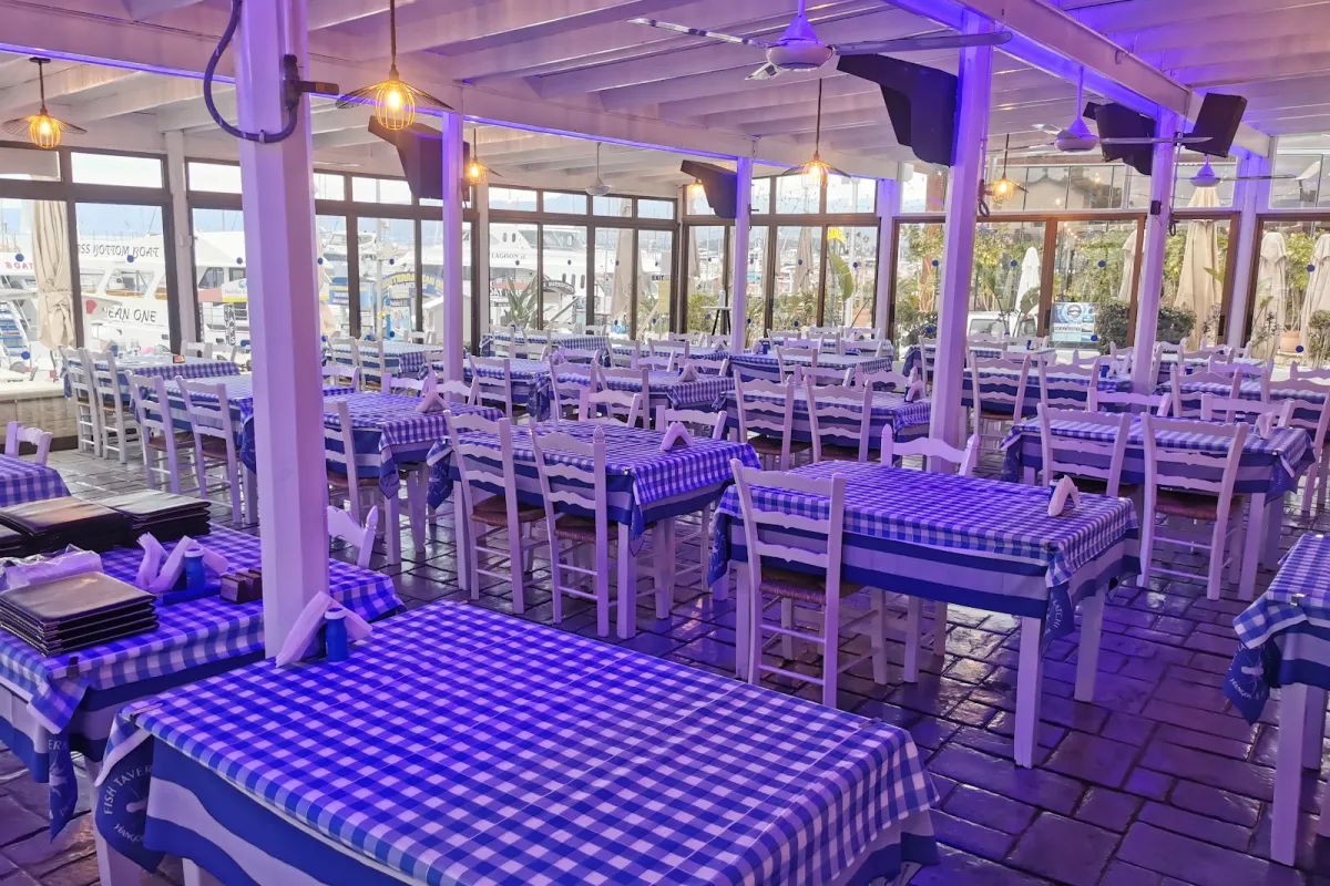 Y&P Fish Tavern photo 1
