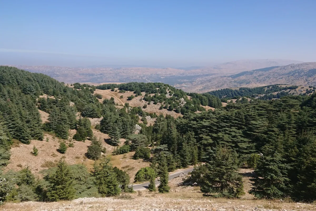 Shouf Biosphere Reserve Barouk Cedar Forest photo 1