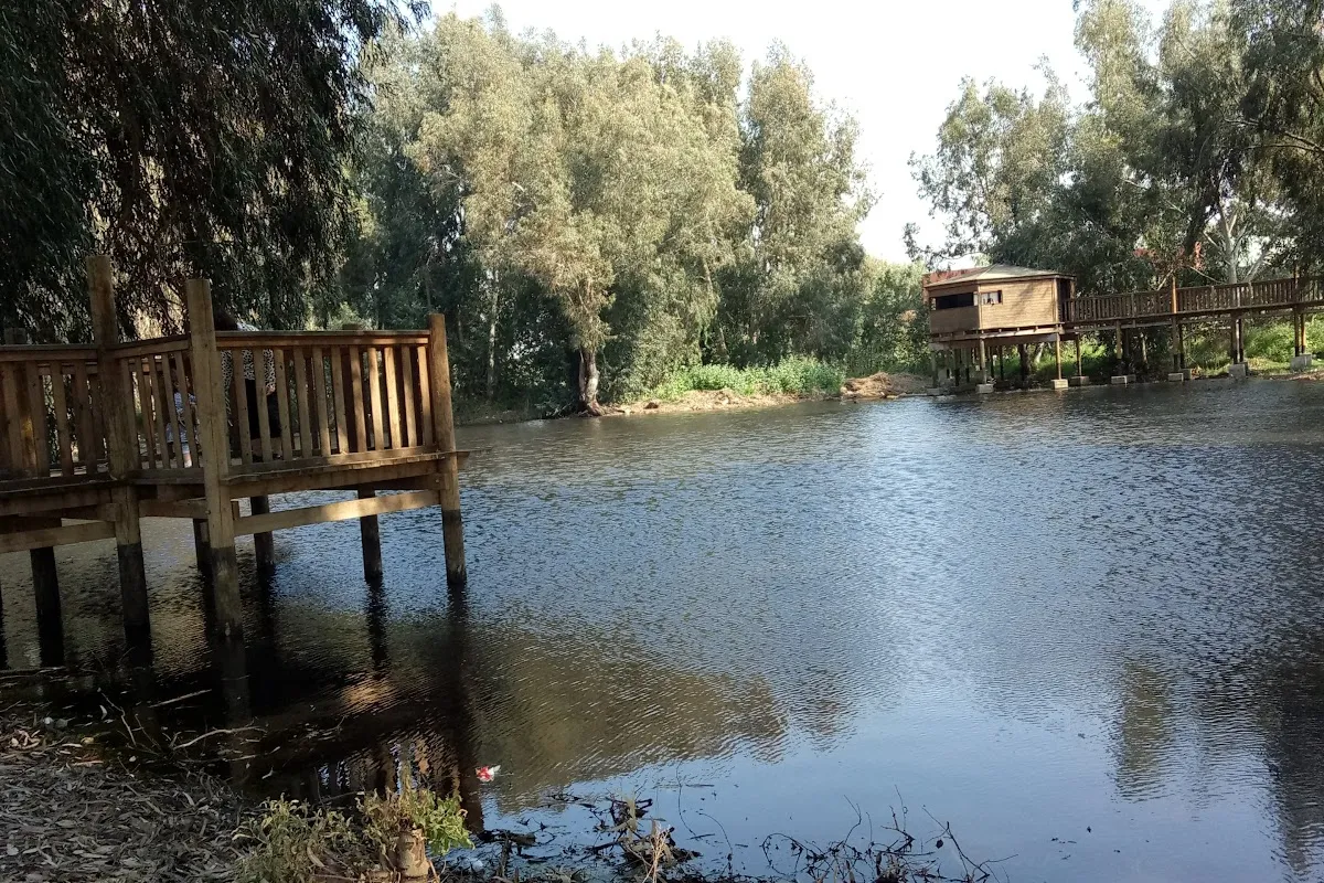 בריכת שפיר photo 1