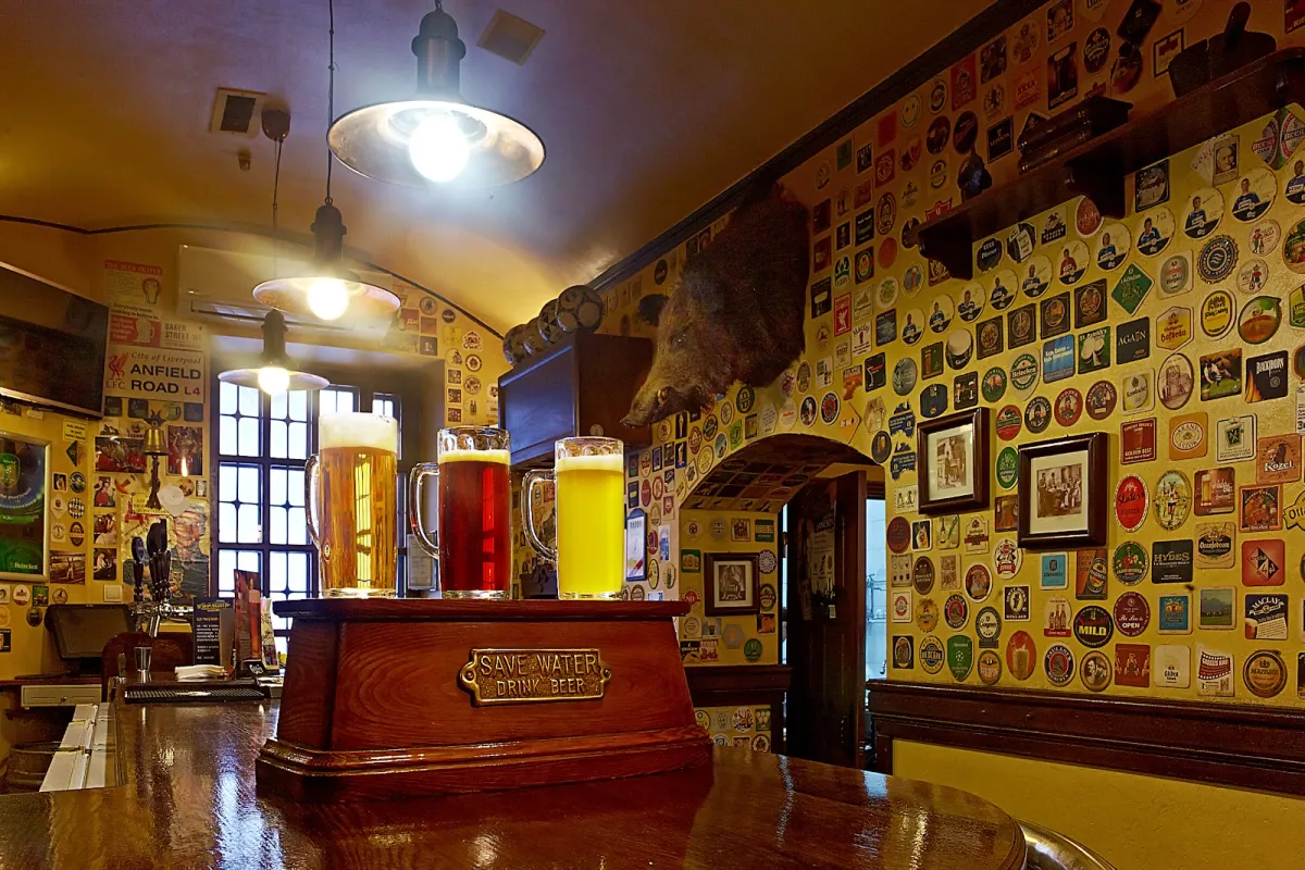Irish Pub photo 1