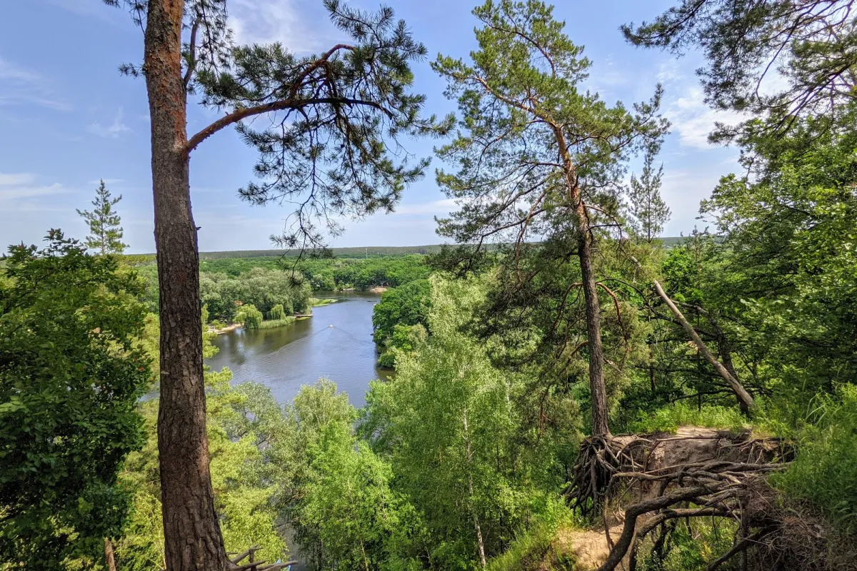Natsionalʹnyy Pryrodnyy Park "Homilʹshansʹki Lisy" photo 1