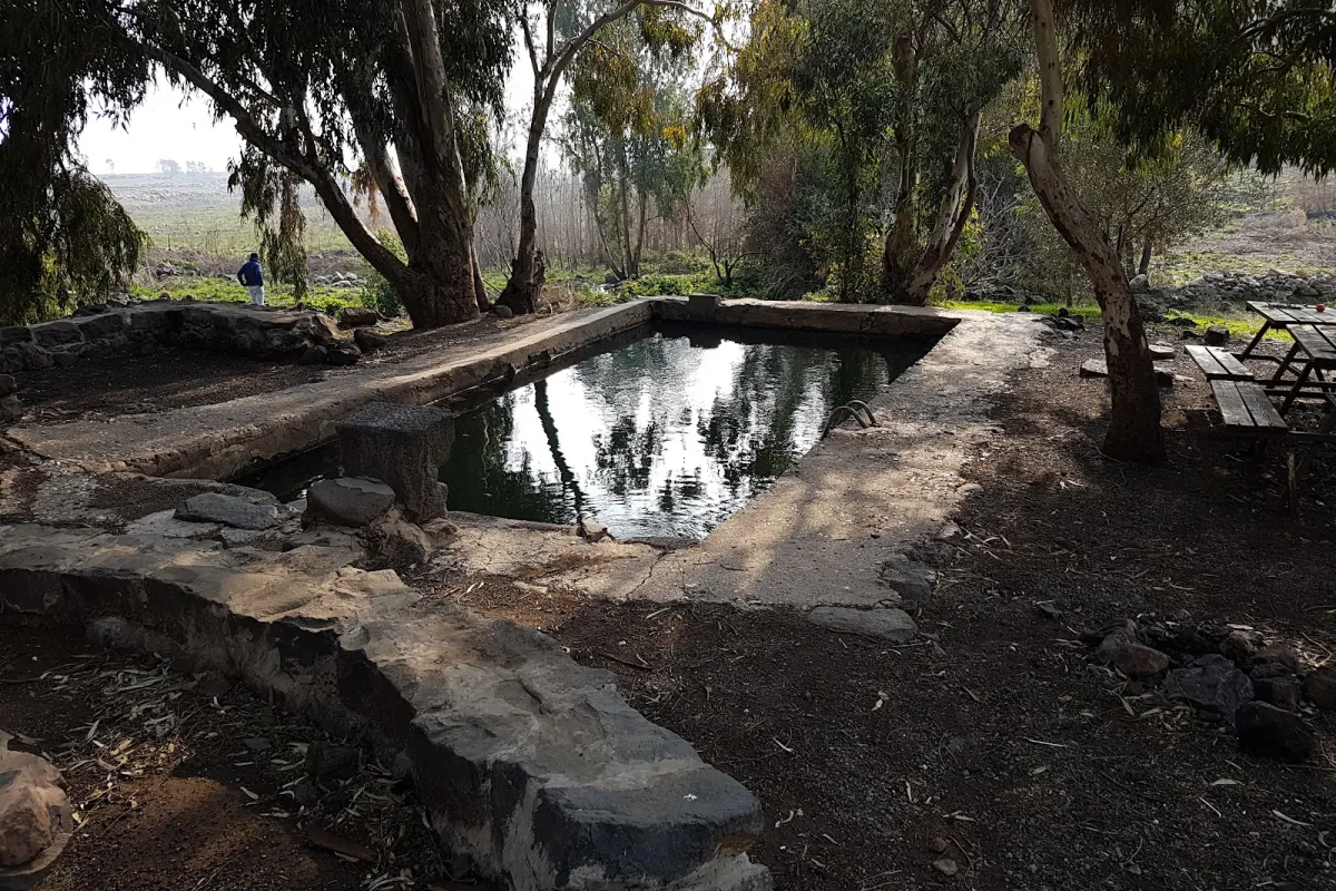 אנדרטת גדוד 53 סופה photo 1